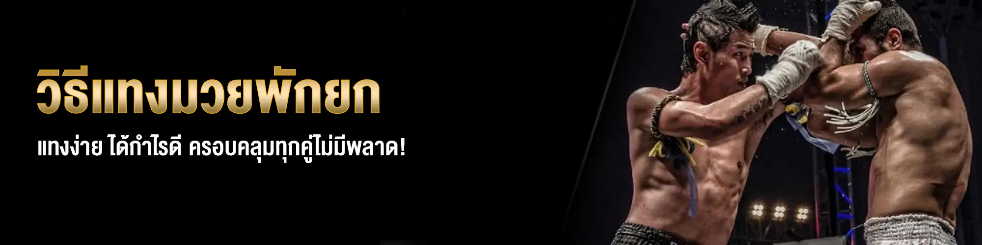 วิธีแทงมวยพักยก