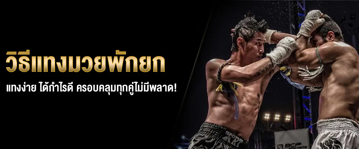 วิธีแทงมวยพักยก
