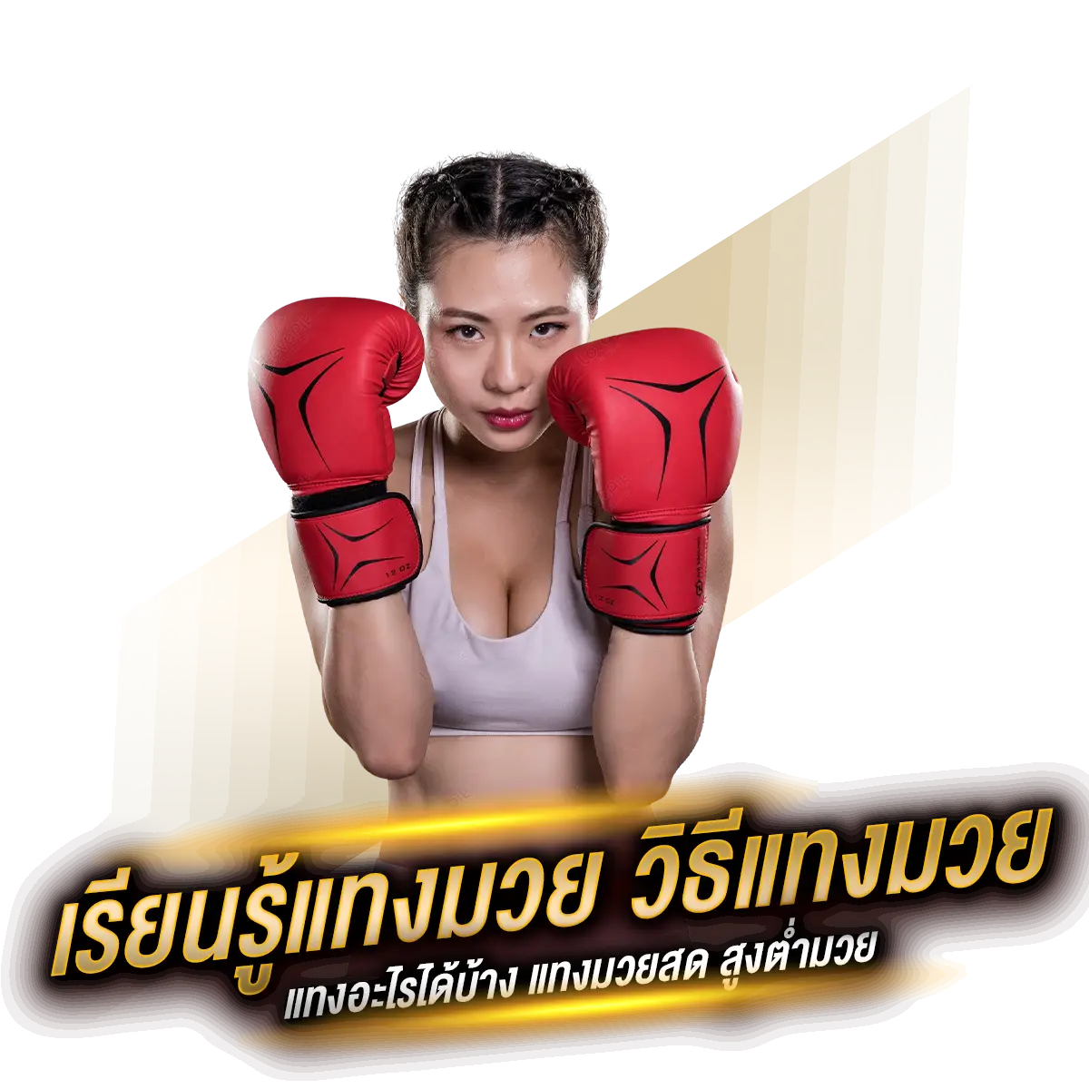 เรียนรู้วิธีแทงมวยพักยก