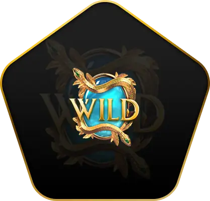 สัญลักษณ์ Wild