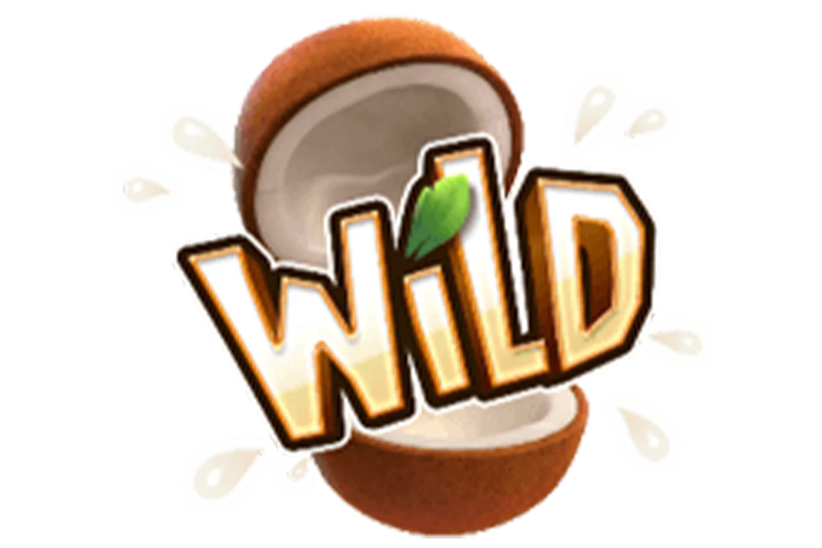สัญลักษณ์พิเศษ Wild