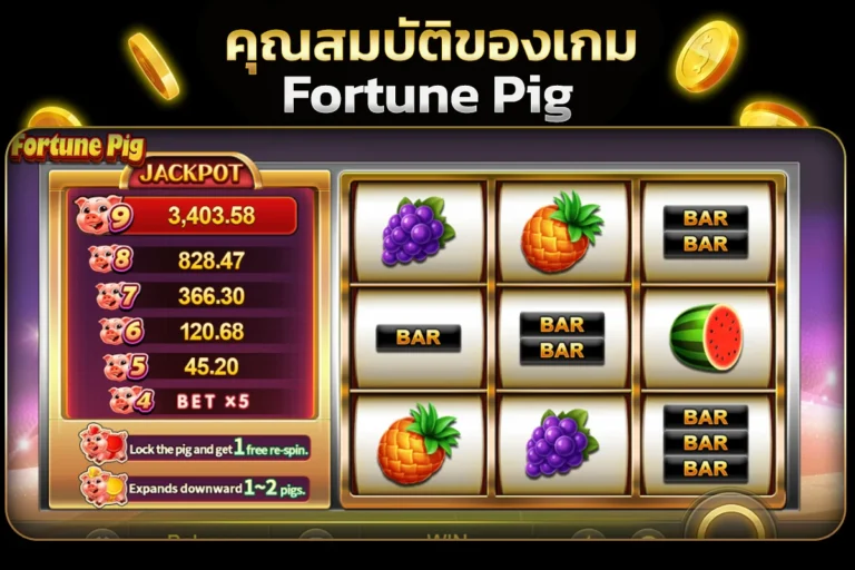 คุณสมบัติของเกม Fortune Pig