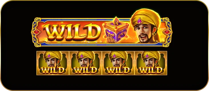 สัญลักษณ์พิเศษ Wild