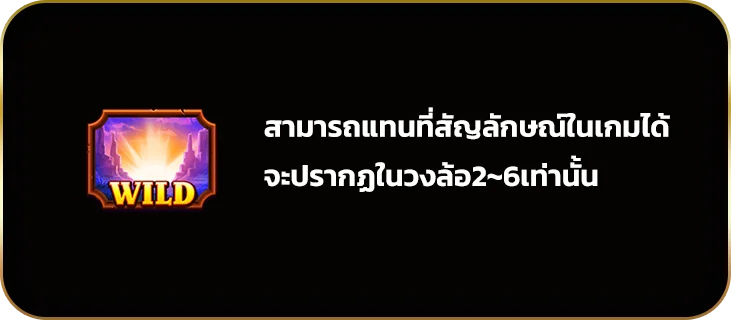 สัญลักษณ์พิเศษ Wild