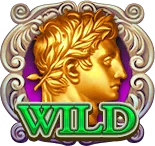 สัญลักษณ์ Wild