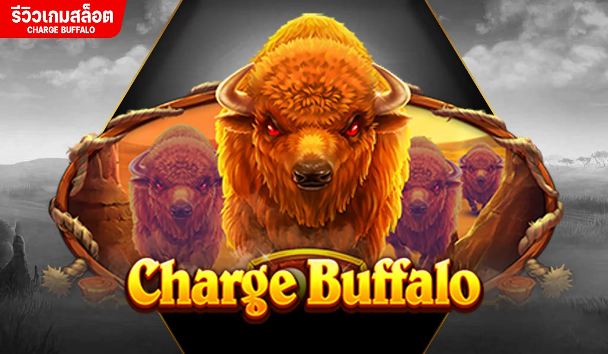 Charge Buffalo ควายกระทิง ไม่เกรงใจใคร