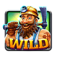 สัญลักษณ์ Wild